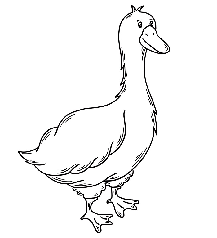 cartoon goose drawing