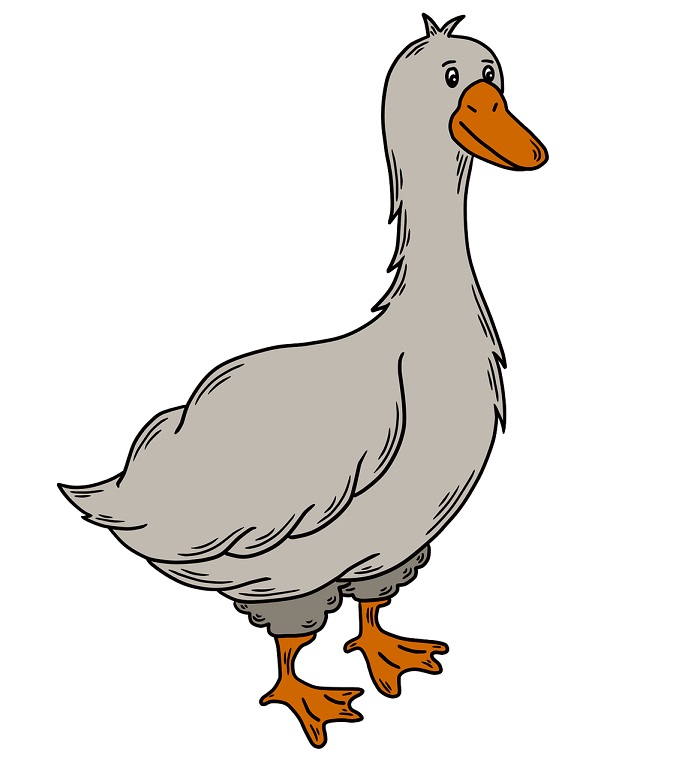 cartoon goose drawing colored in