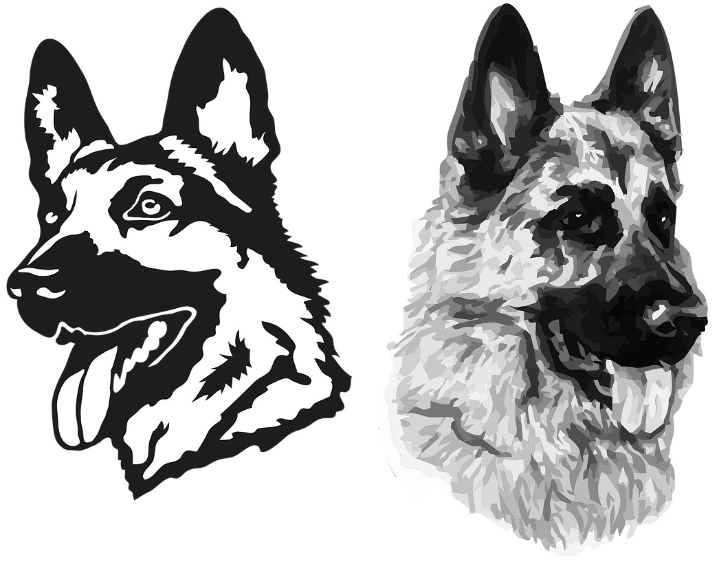 How to Draw a German Shepherd Dog Head StepByStep Tutorial Draw