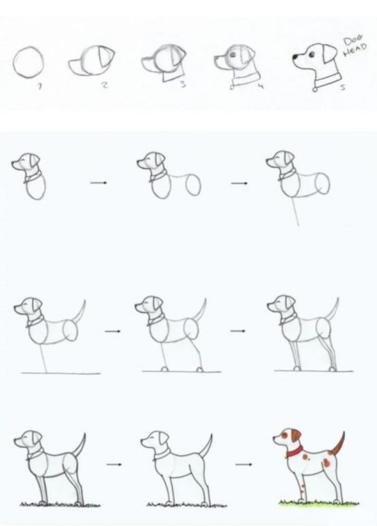 How to Draw a Realistic Standing Dog - Tutorial - Draw Advisor