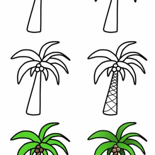how to draw a cartoon palm tree