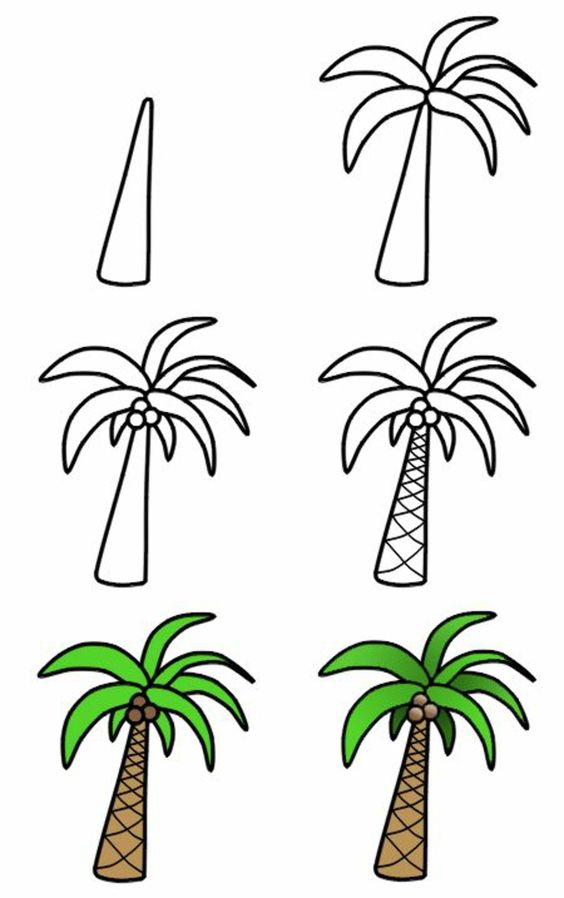 how to draw a cartoon palm tree