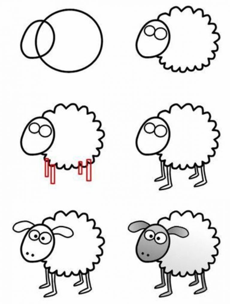 how to draw a cartoon sheep