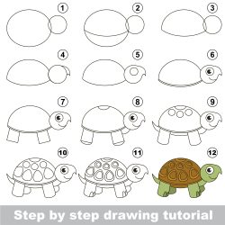 How to Draw a Cartoon Turtle - Draw Advisor