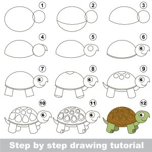 How to Draw a Cartoon Turtle - Draw Advisor