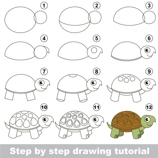 how to draw a cartoon turtle