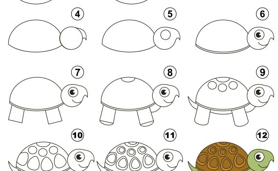 how to draw a cartoon turtle