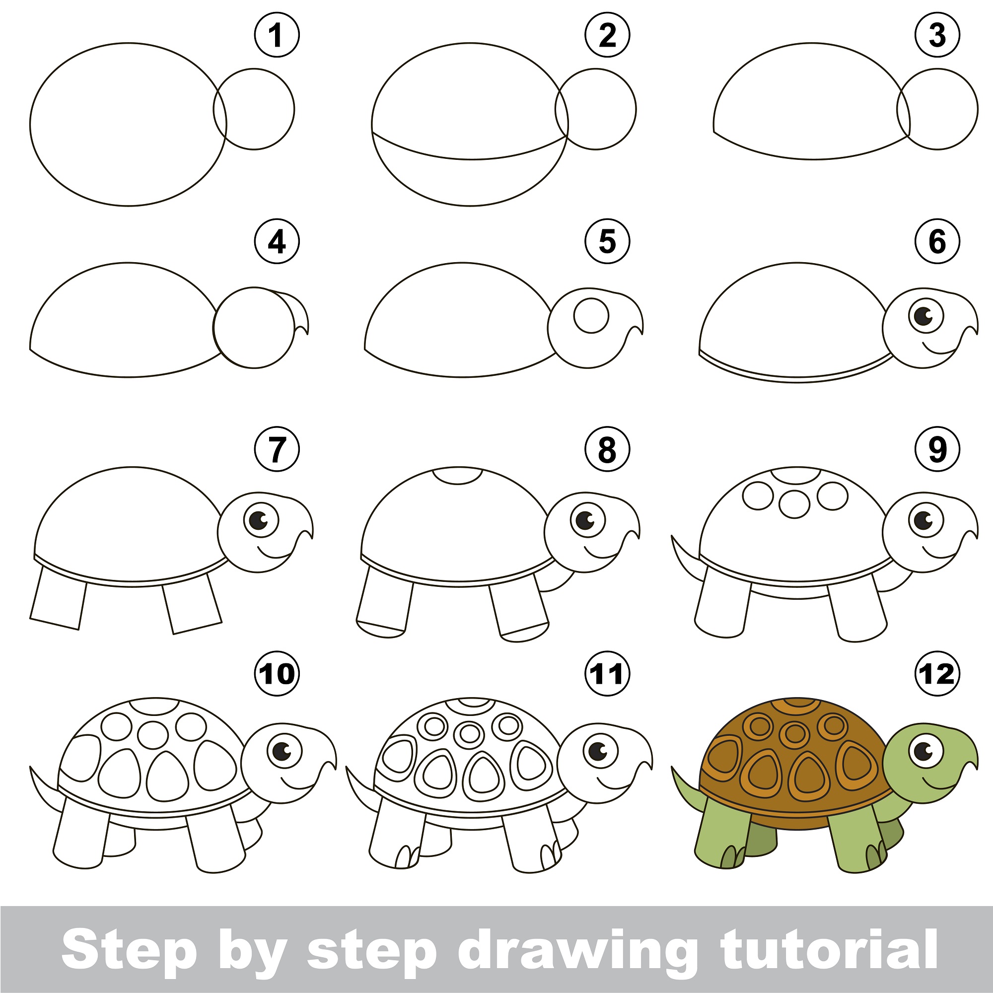 How to Draw a Cartoon Turtle Draw Advisor