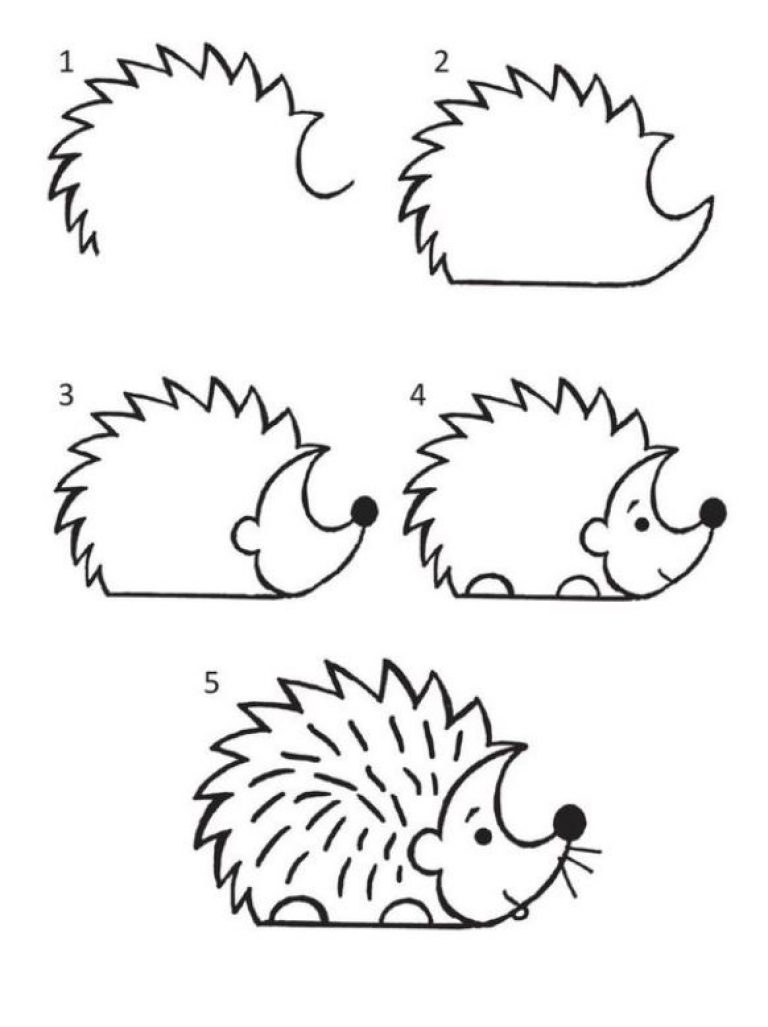 how to draw a hedgehog