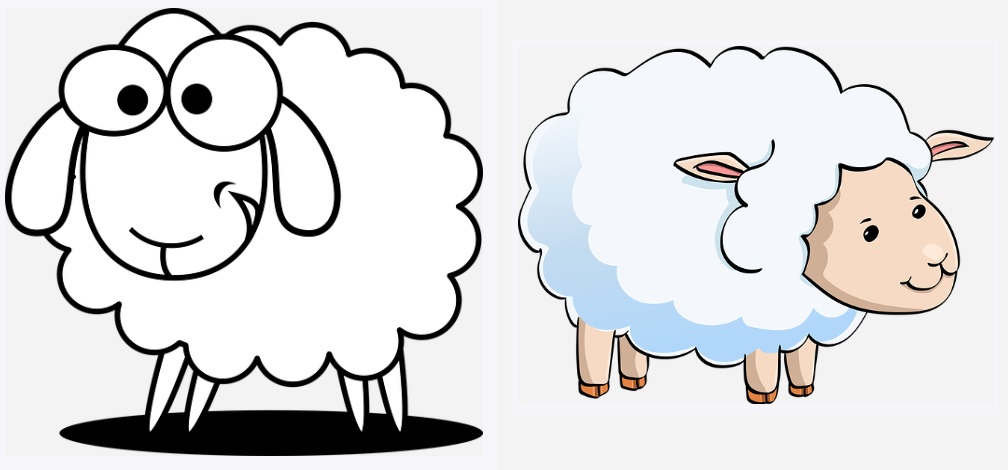 sheep drawings