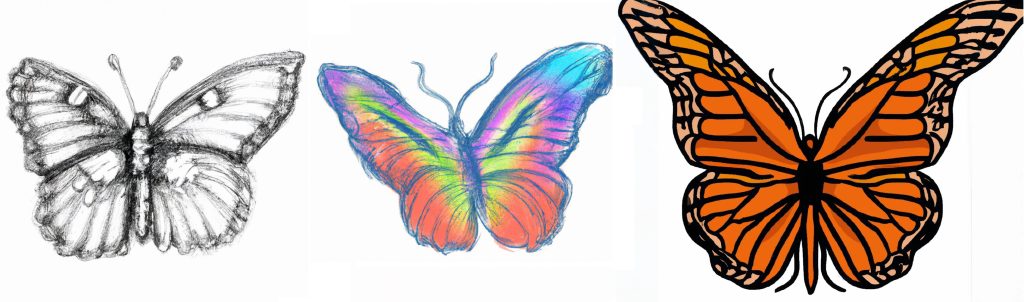 3 butterfly drawings and butterfly sketches
