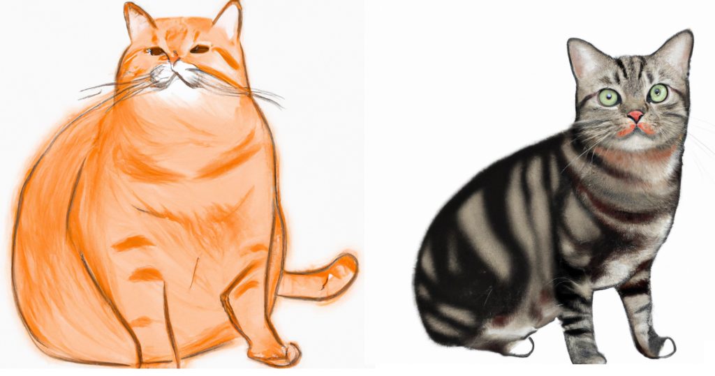 cat drawings orange cat and bengal cat