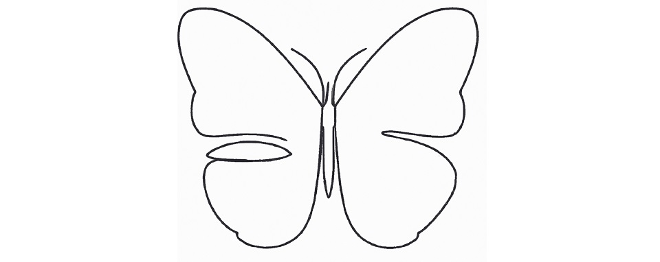 outline drawing of a butterfly