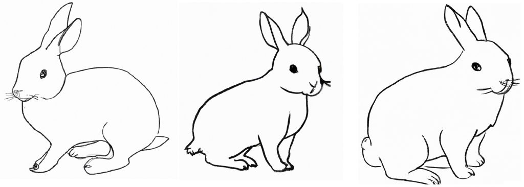 3 basic outline drawings of rabbits