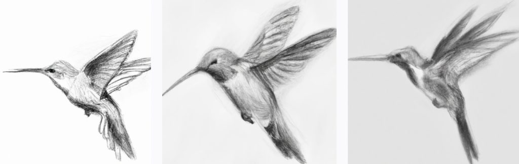 3 hummingbird pencil drawings realistic for people to follow who are learning how to draw hummingbirds