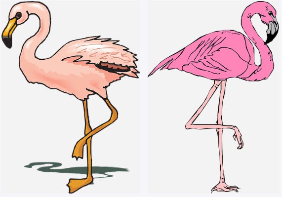 drawing of 2 pink flamingos