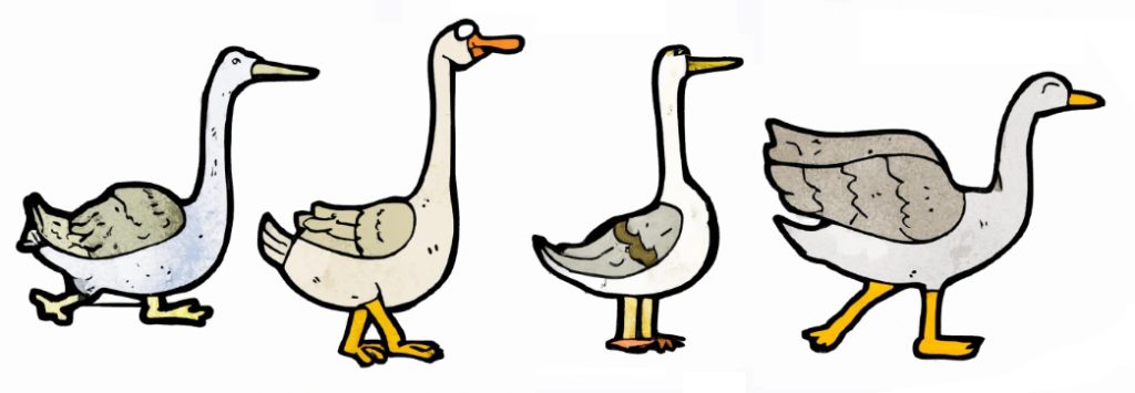 drawings of 4 different geese