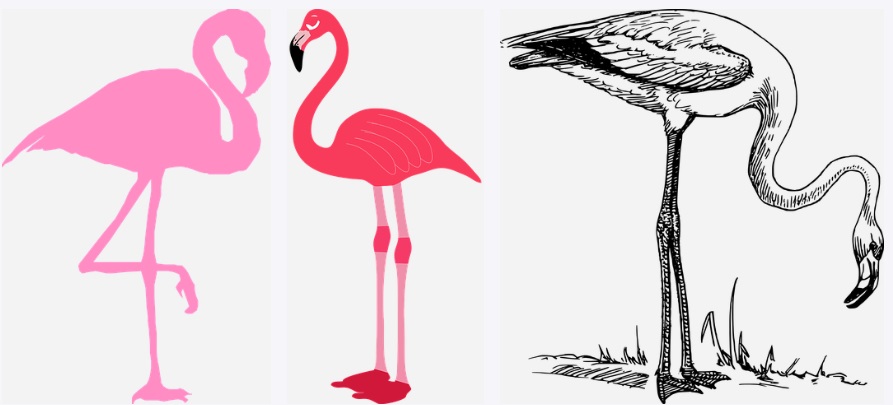 drawings of different flamingos to reference for beginners