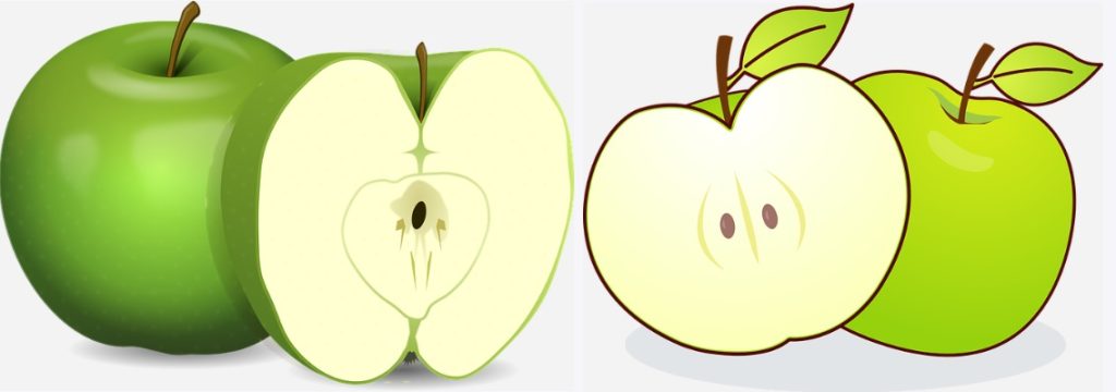 green apple drawings of apple and core of the apples granny smith