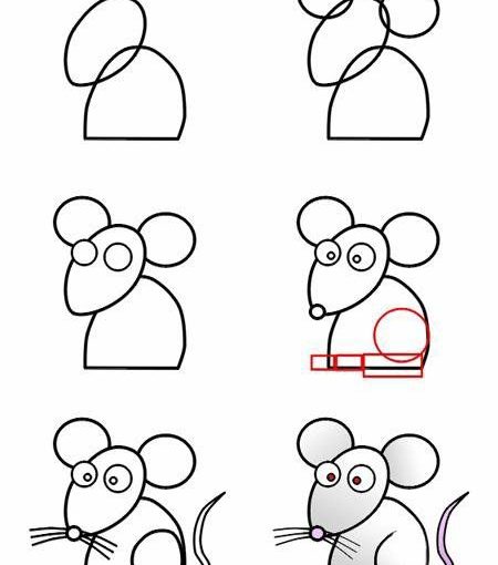 how to draw a cartoon mouse in 6 steps