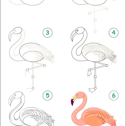 how to draw a flamingo step by step