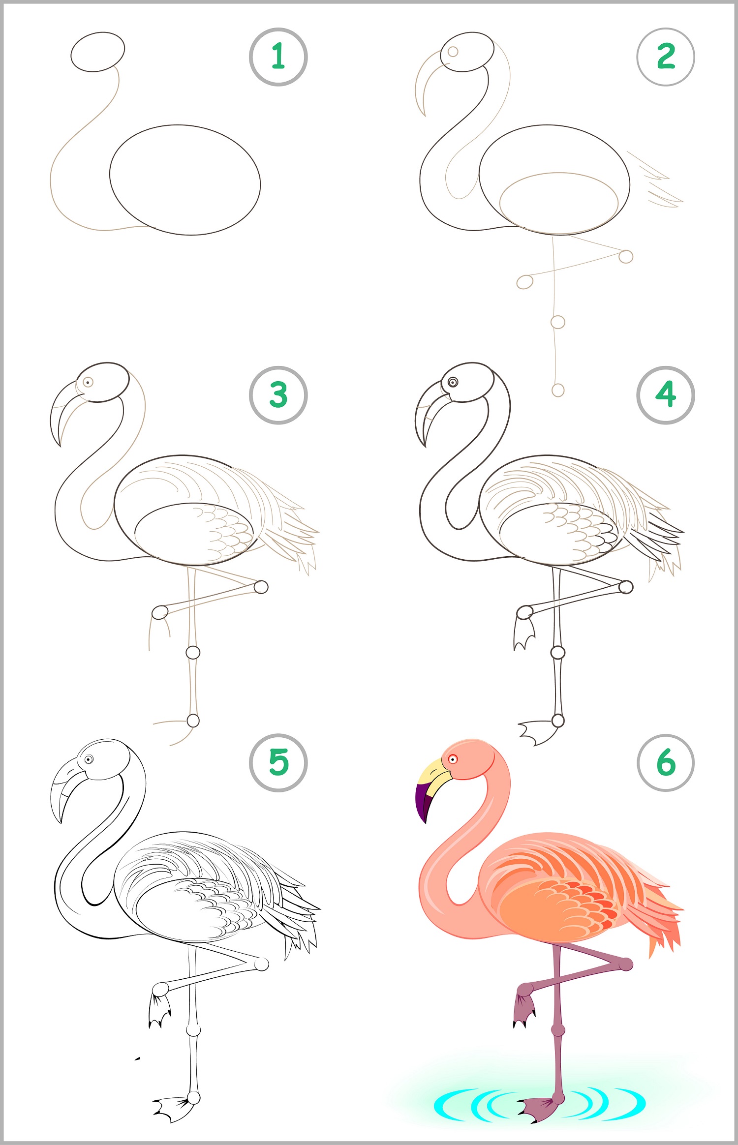 how to draw a flamingo step by step