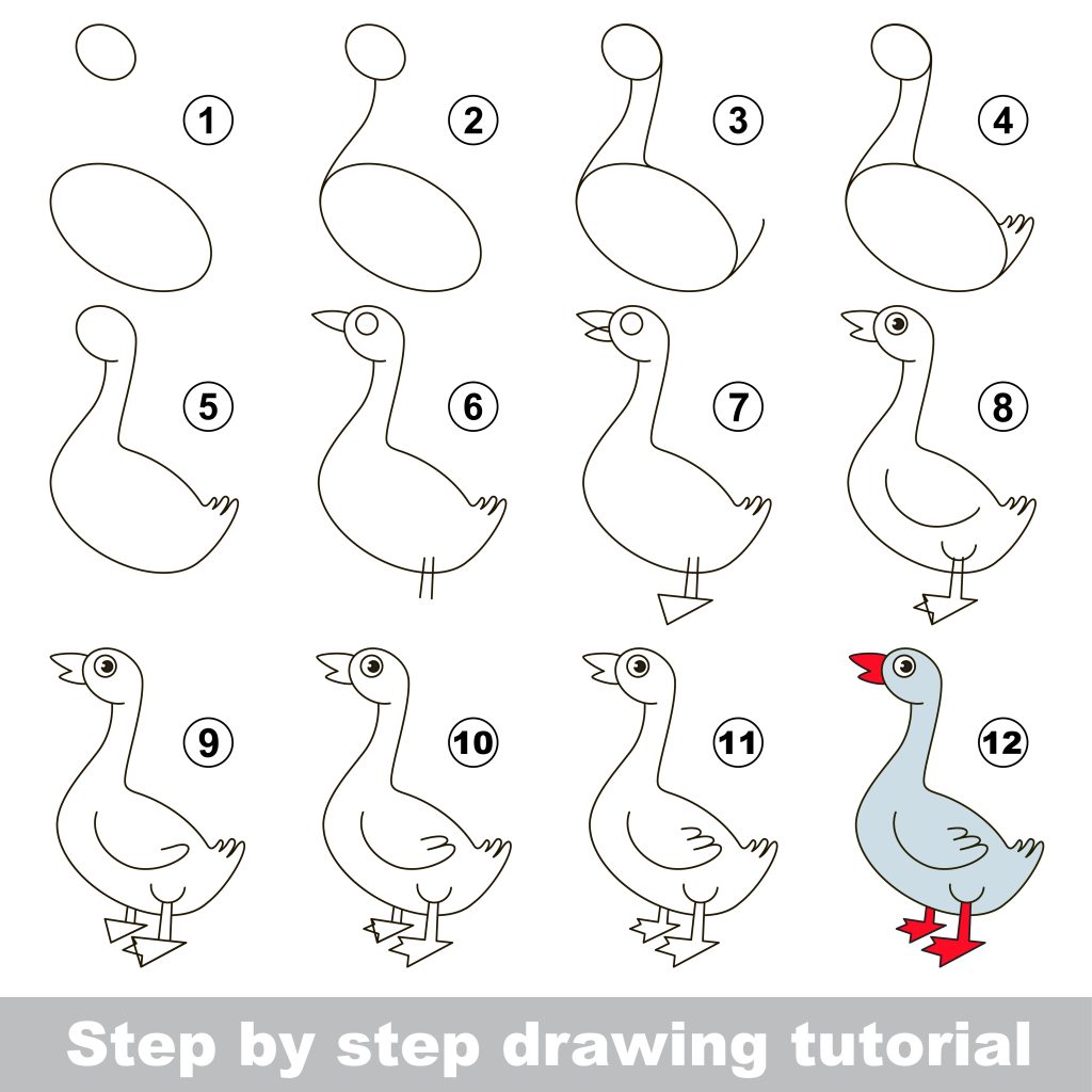how to draw a goose step by step drawing tutorial