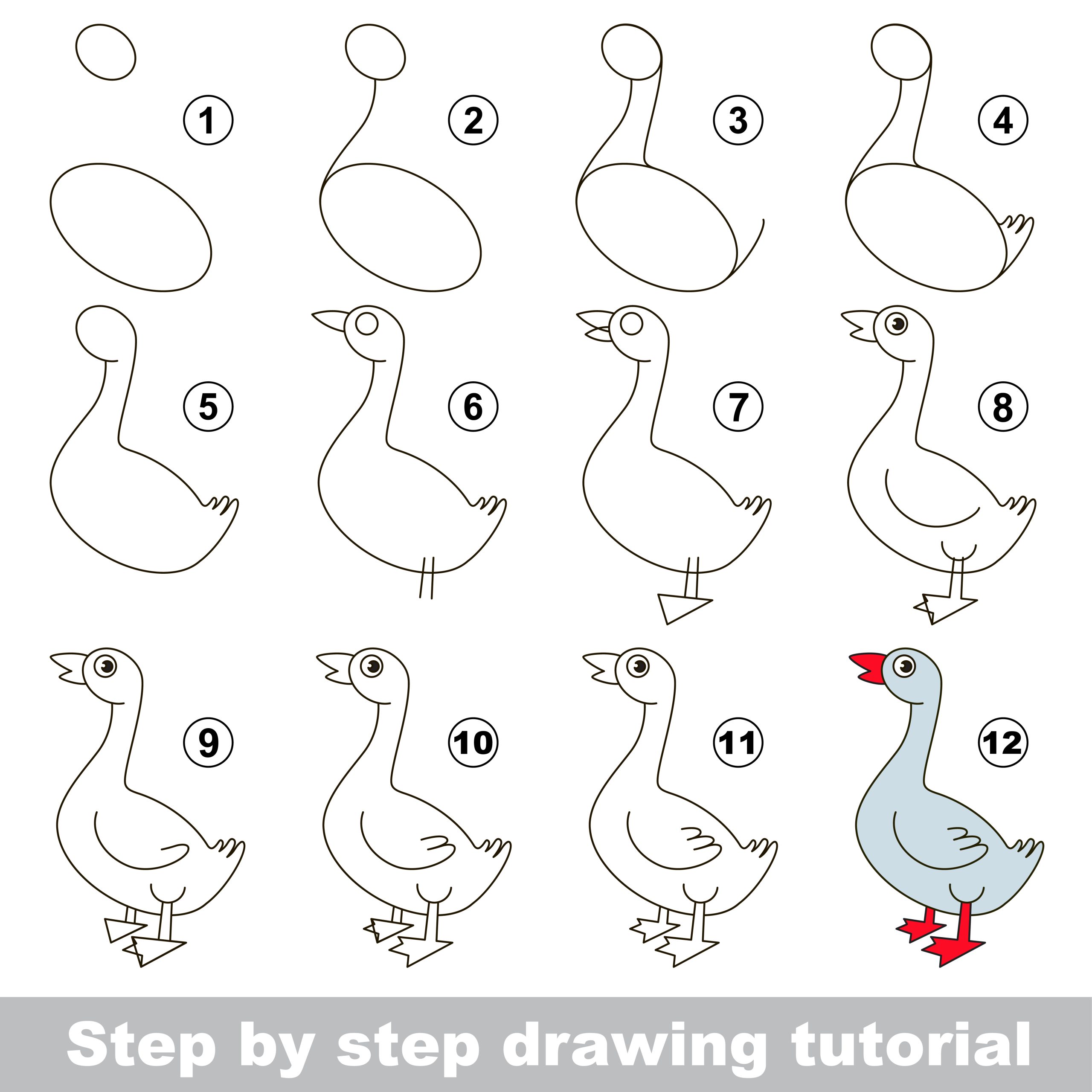how to draw a cartoon goose step by step tutorial