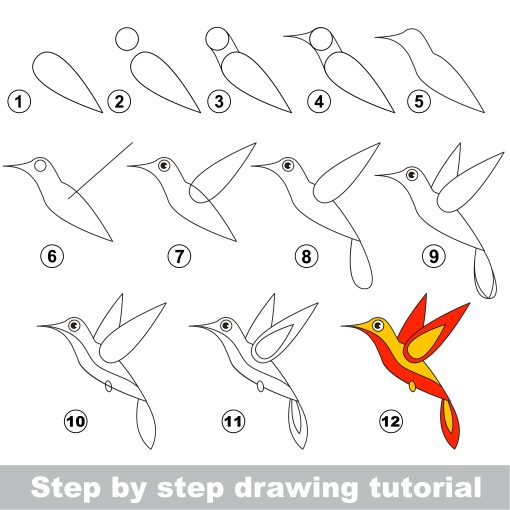 how to draw a hummingbird