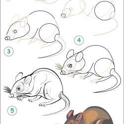 How to Draw a Cartoon Turtle – Draw Advisor