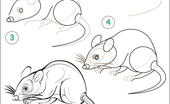how to draw a mouse eating cheese for kids