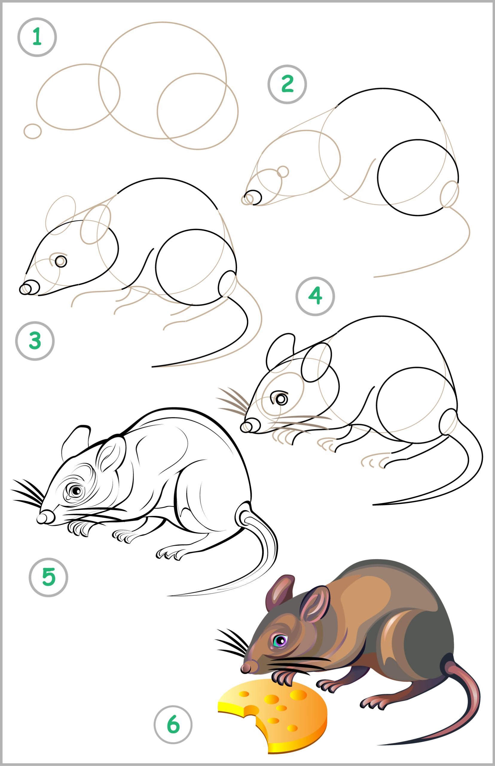 how to draw a mouse eating cheese for kids
