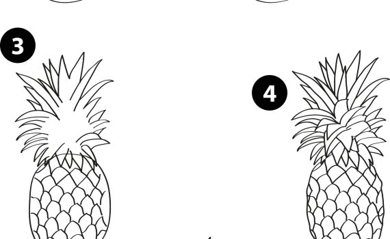how to draw a pineapple