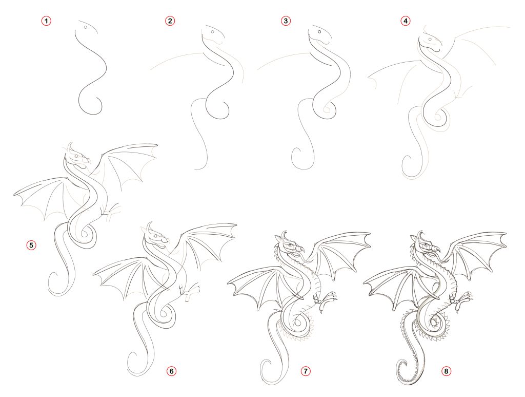 how to draw a realistic dragon in 8 steps