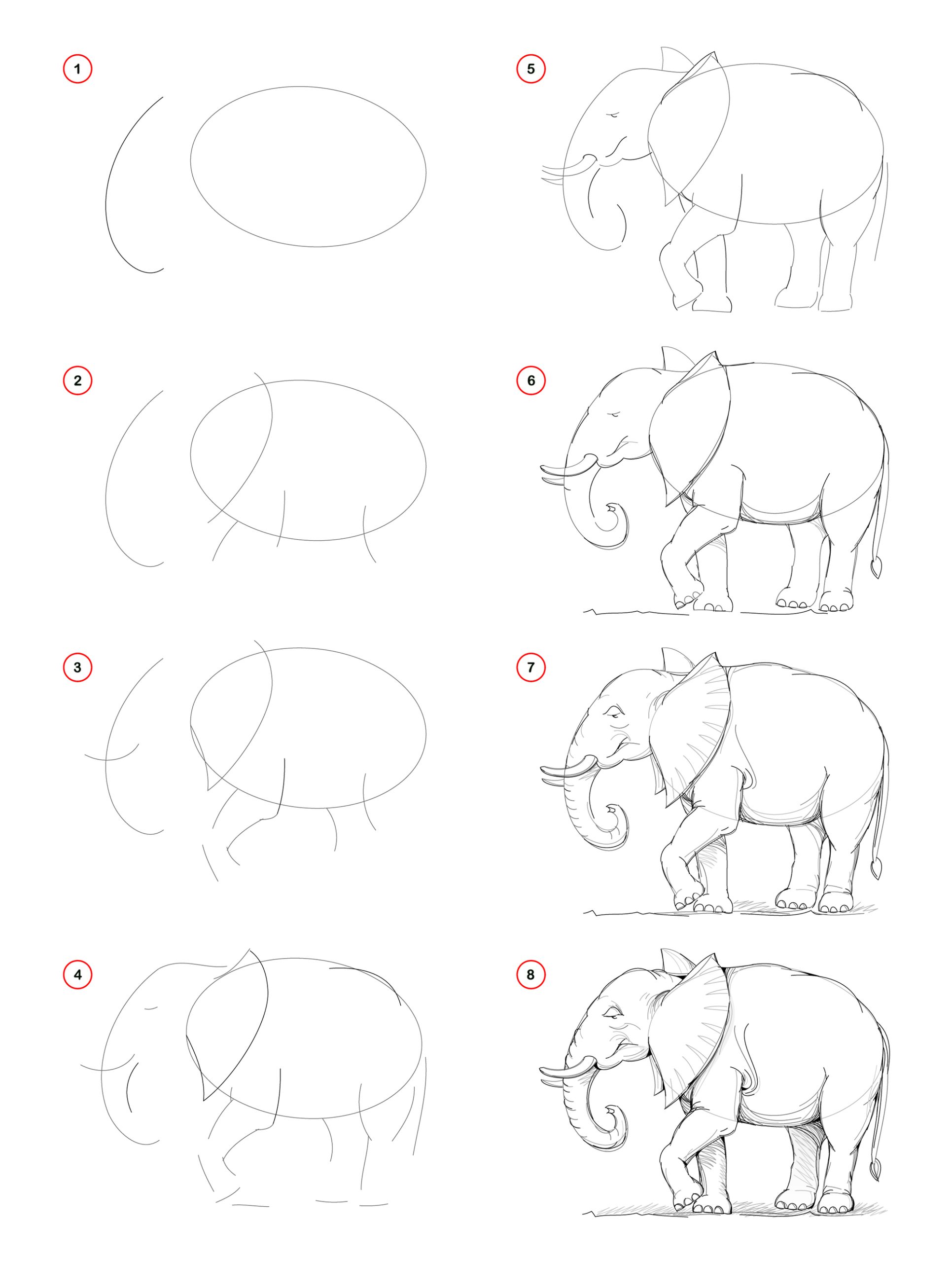 how to draw an elephant