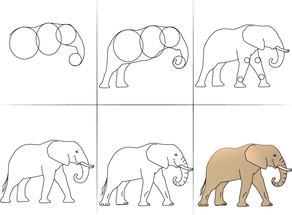 how to draw an elephant step by step easy