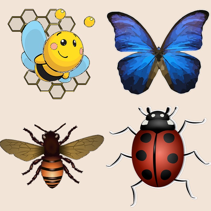insect drawing tutorials
