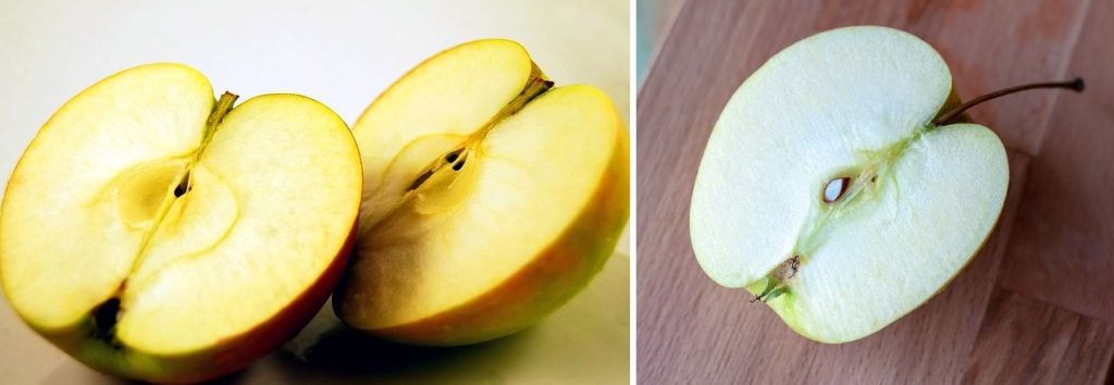 inside of an apple showing the core and seed