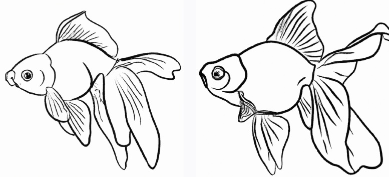 outline drawing of a goldfish