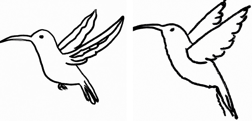 outline of 2 different hummingbird drawings for beginners to follow