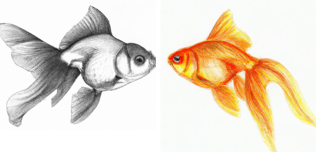 pencil drawing of a goldfish with crayon goldfish drawing