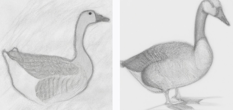 pencil drawing with shading of a goose