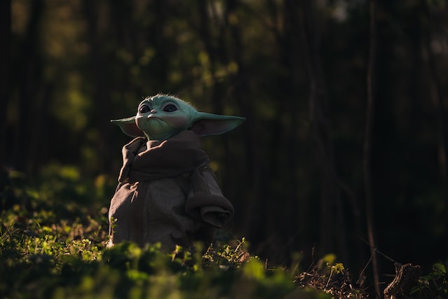 picture of baby yoda on grass