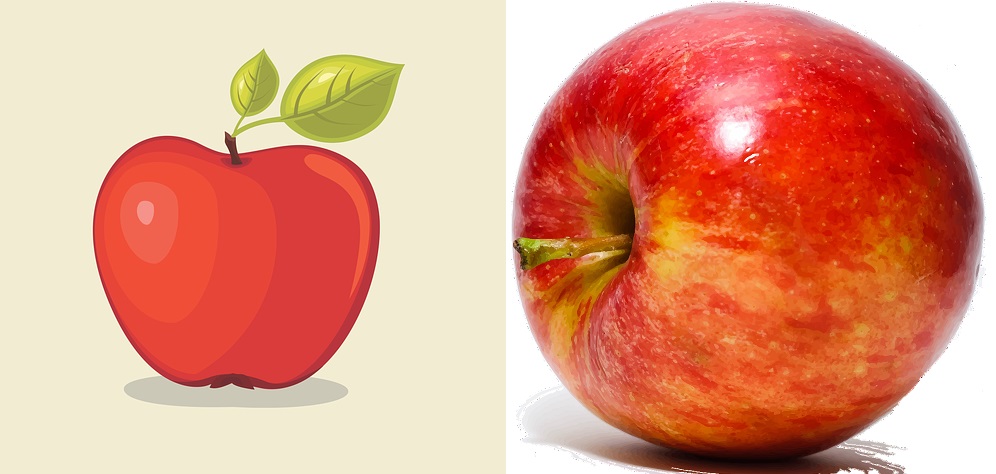real picture of an apple and an apple illustration