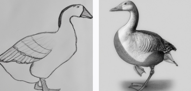two different geese drawings 1 by a beginner and 1 by an advanced artist