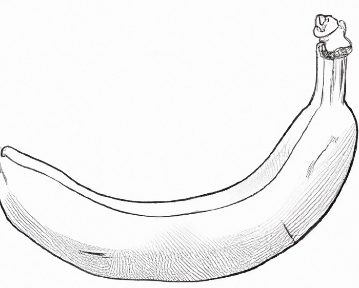 basic outline drawing of a banana with shading