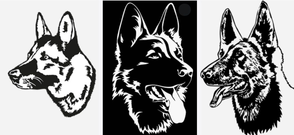 black and white german shepherd heads showing details