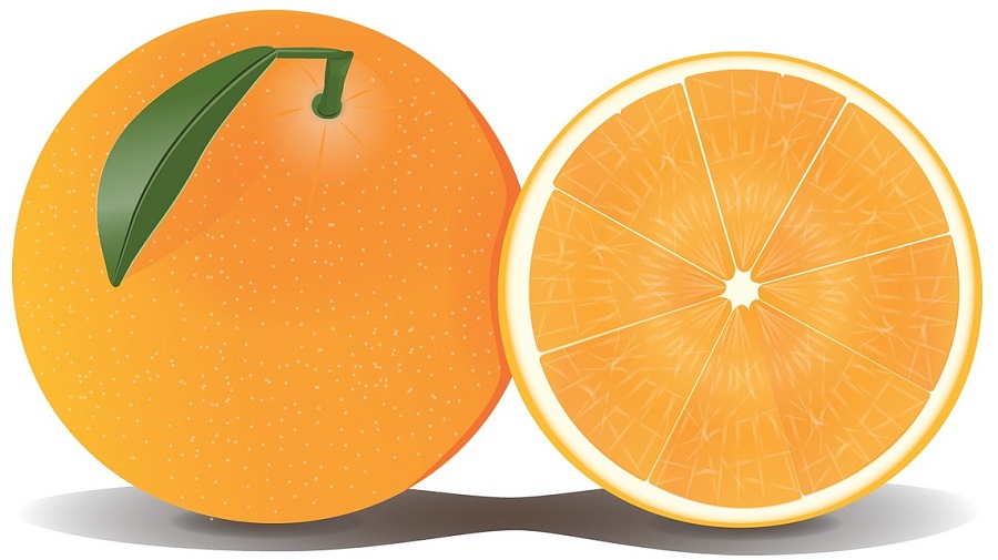 drawing of a full orange and orange slices