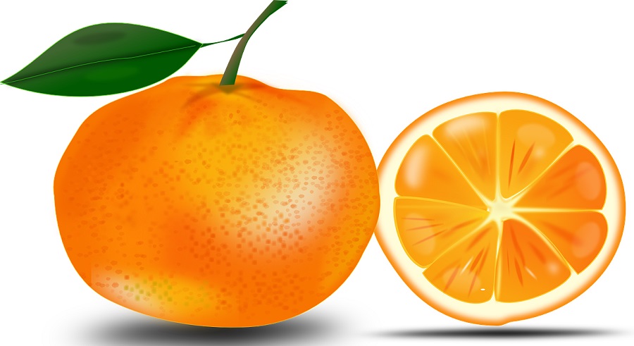 drawing of an orange and an orange slice