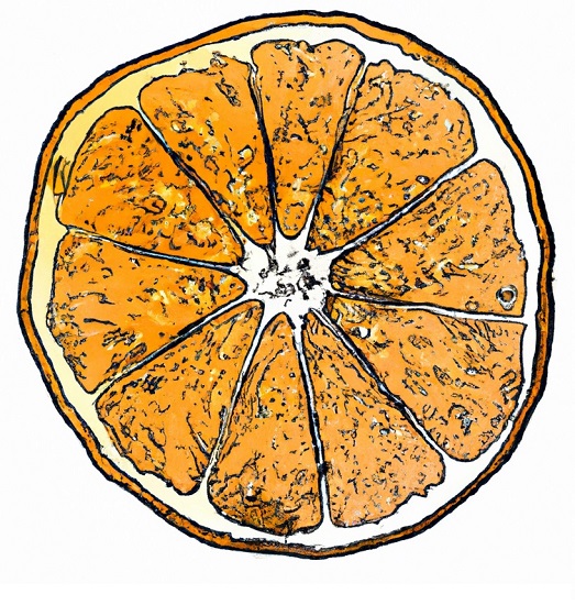 drawing of an orange slice 1